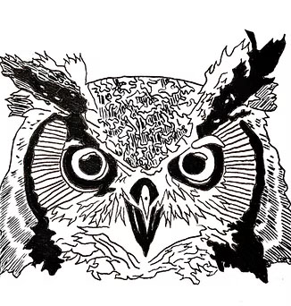 Medicine Owl Wellness